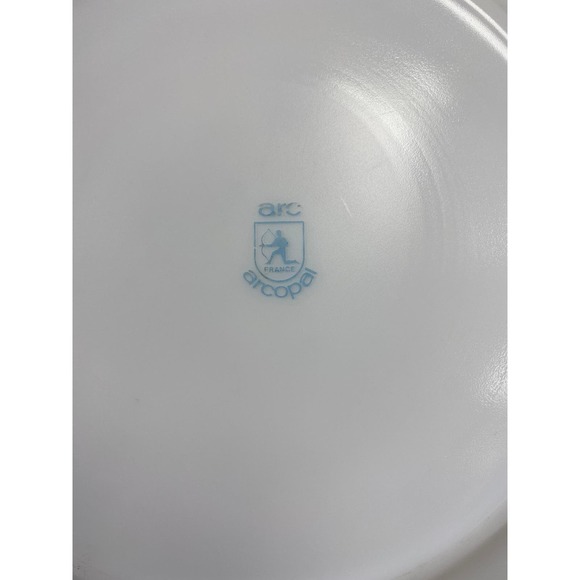 Set of 2 Vintage Romantique by Arcopal Plates - Blue Floral Cottagecore - Picture 3 of 4